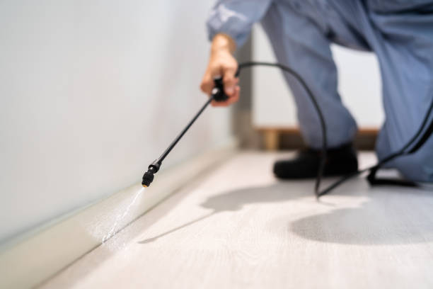 Bed Bug Pre-Treatment Preparation Assessment in Locust Valley