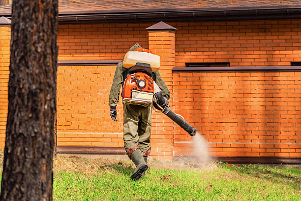 Bed Bug Clearance Verification and Documentation in Locust Valley